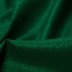 Spīdīgs krāšņs audums Barbie Green||TavsSapnis