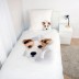 Gultas veļas komplekts Lovely Dog||TavsSapnis